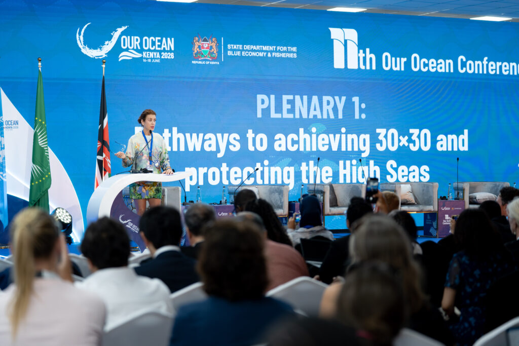 A Case Study in Supporting Global Ocean Leadership: Strategic Advisory for Oceana at the First Our Ocean Conference Hosted in Africa